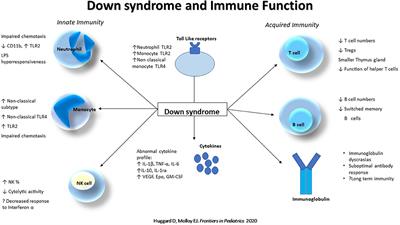 Immune Dysregulation in Children With Down Syndrome